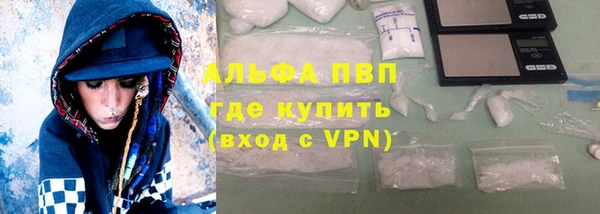 стаф Ладушкин