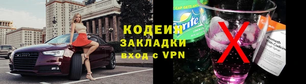 МДПВ Липки