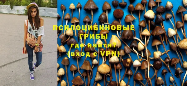 МДПВ Липки