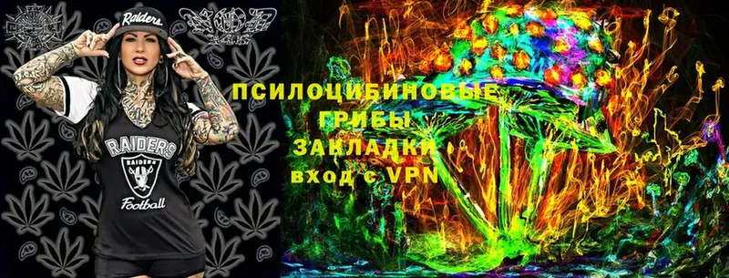 Псилоцибиновые грибы Cubensis  что такое   Кемь 