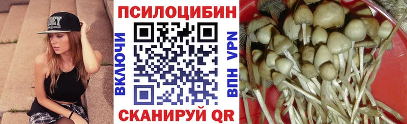 маркетплейс формула  Кемь  Псилоцибиновые грибы мухоморы 